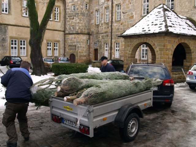 Weihnachtsbaumverkauf 2012